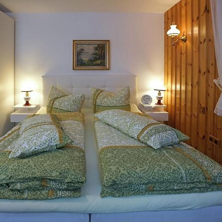 Domizil Aschbergblick Apartment Klingenthal Ngoại thất bức ảnh